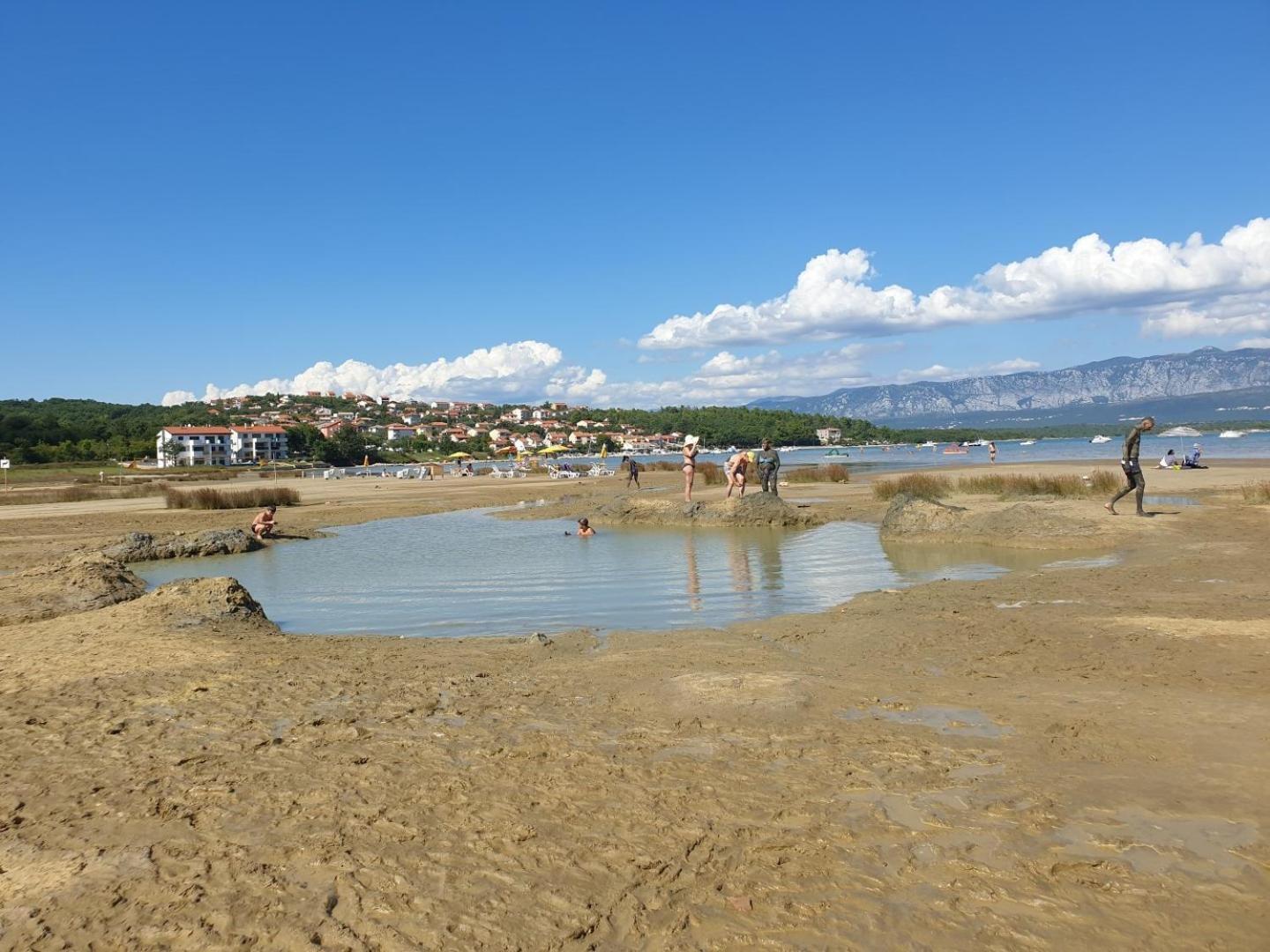 Nevenka K. Cizici