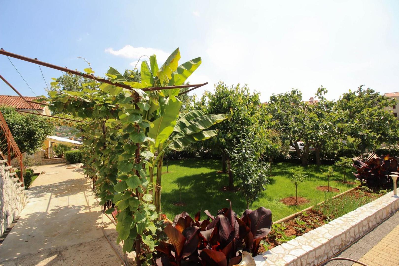 Nevenka K. Guest house